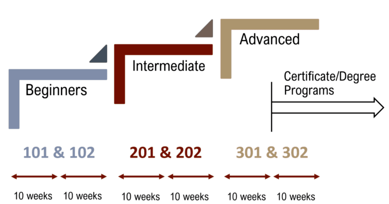 VESL program structure: beginner, intermediate, and advanced levels to certificate programs